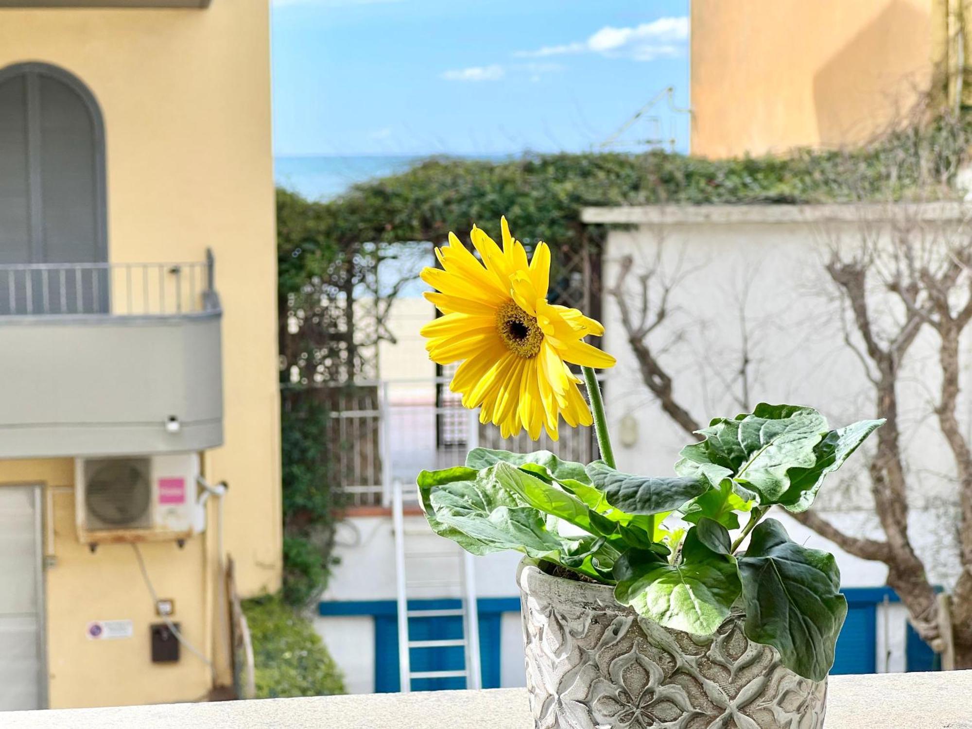 Mono Rosina, Aria Condizionata E Balcone A Soli 50 Metri Dal Mare! By Alfareal 카스틸리오네 델라 페스카이아 외부 사진
